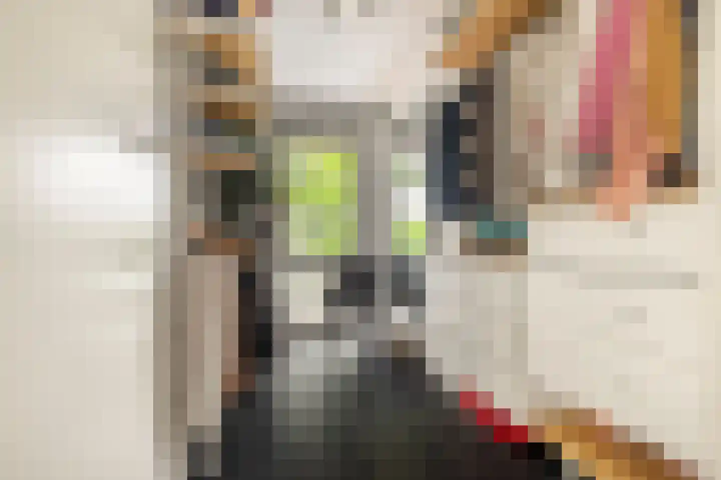H. Gerhardstraat 78 Amsterdam thumbnail 24