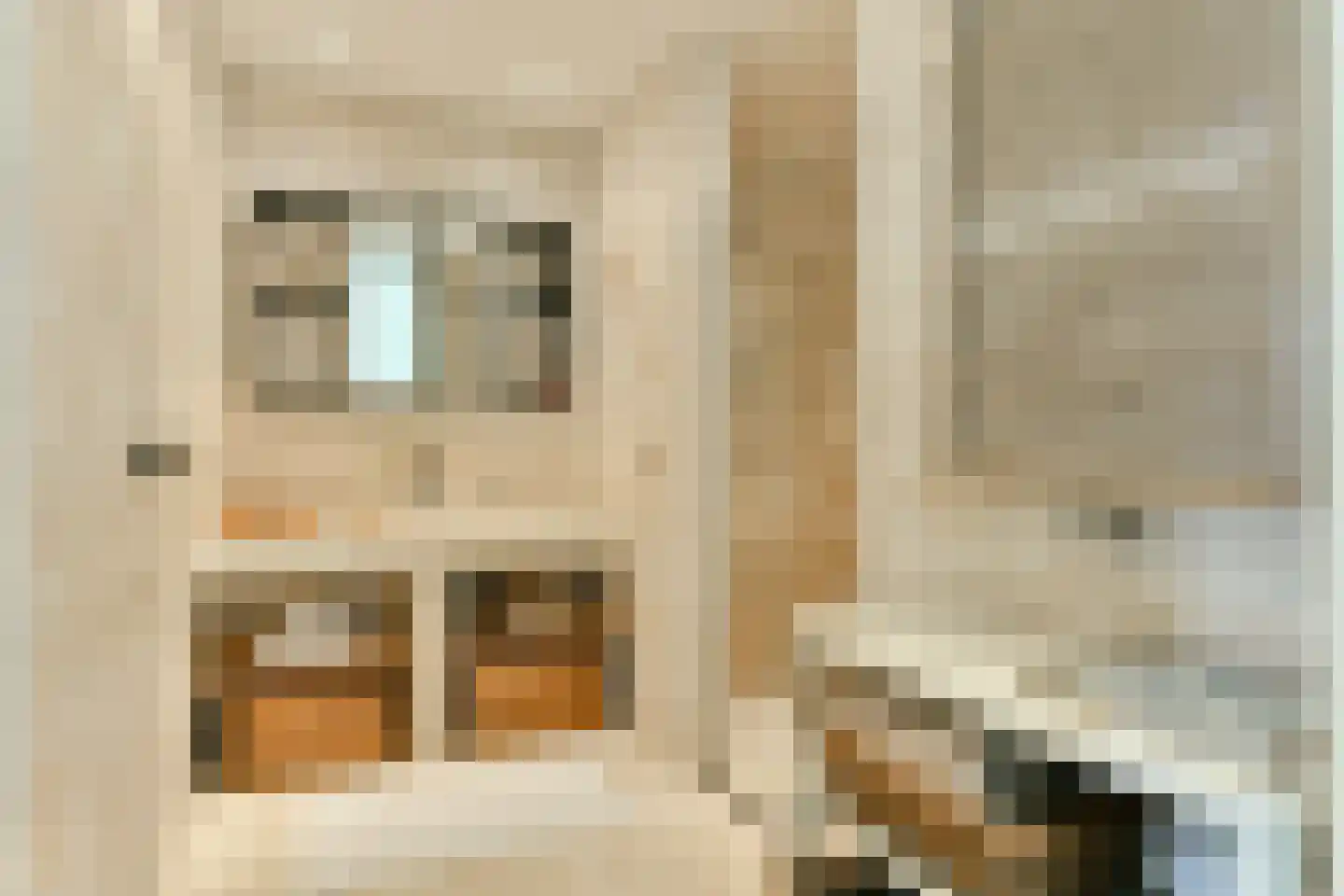 H. Gerhardstraat 94 Amsterdam thumbnail 20