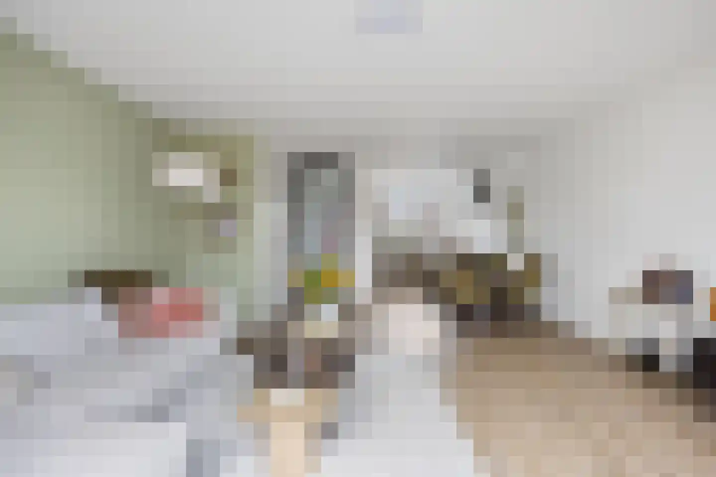 H. Germansstraat 6 Hedel thumbnail 12