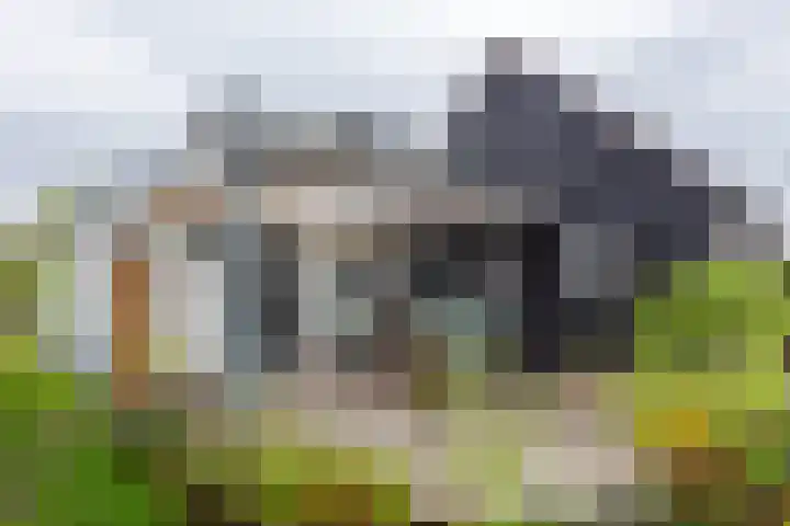 H. Goeman Borgesiusstr 3 Schildwolde thumbnail 18