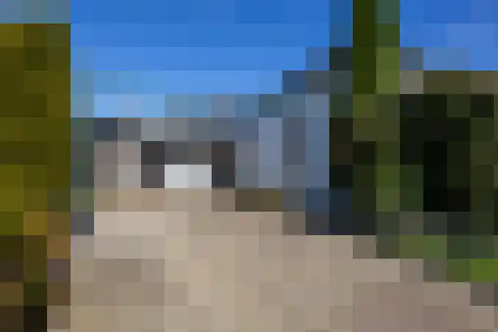 H. Goeman Borgesiusstr 3 Schildwolde thumbnail 31
