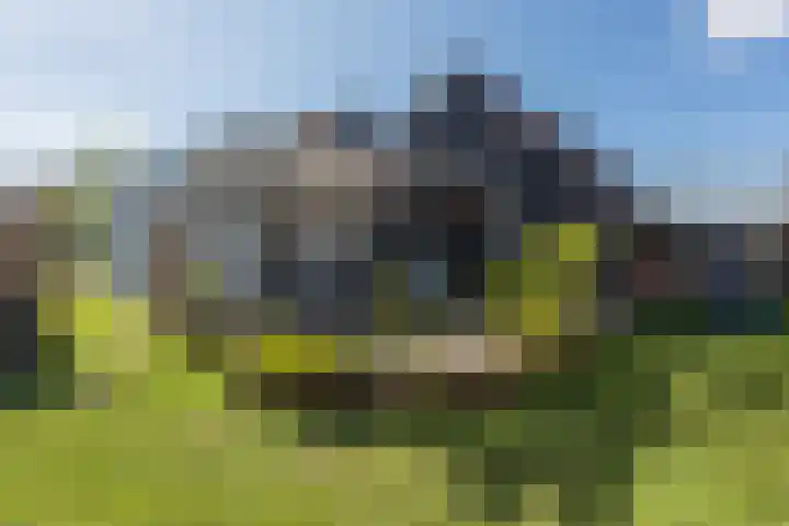 H. Goeman Borgesiusstr 3 Schildwolde thumbnail 33