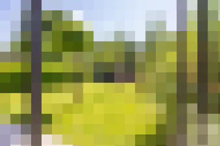 H. Goeman Borgesiusstr 36 Schildwolde thumbnail 30