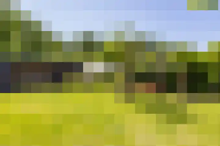 H. Goeman Borgesiusstr 36 Schildwolde thumbnail 33