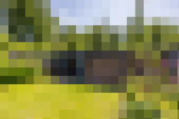 H. Goeman Borgesiusstr 36 Schildwolde thumbnail 35
