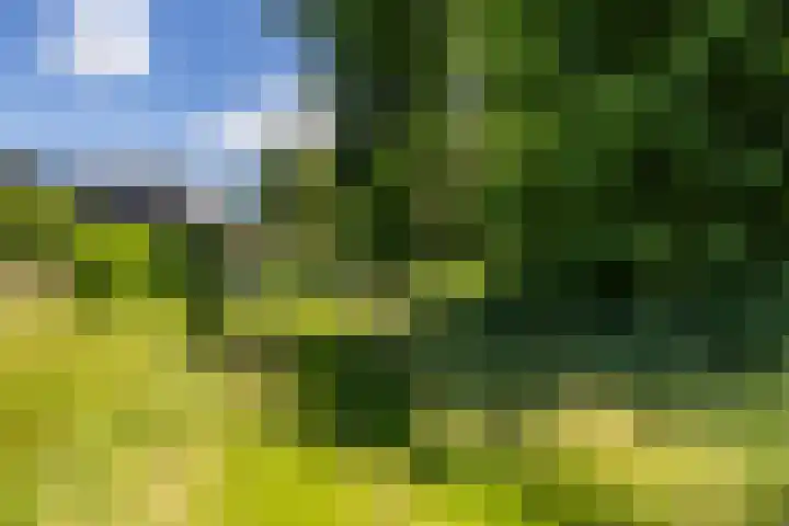 H. Goeman Borgesiusstr 36 Schildwolde thumbnail 41