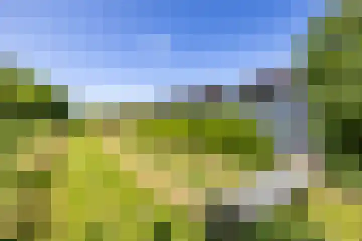 H. Goeman Borgesiusstr 36 Schildwolde thumbnail 42