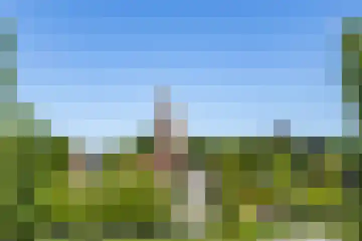 H. Goeman Borgesiusstr 36 Schildwolde thumbnail 64