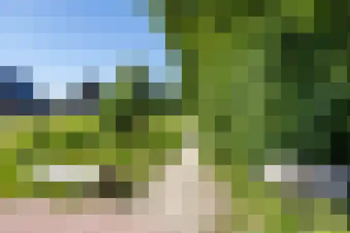 H. Goeman Borgesiusstr 36 Schildwolde thumbnail 66