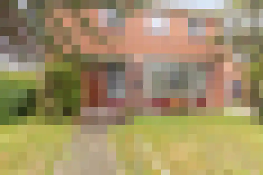 H. Goeman Borgesiusstr 9 Schildwolde thumbnail 9