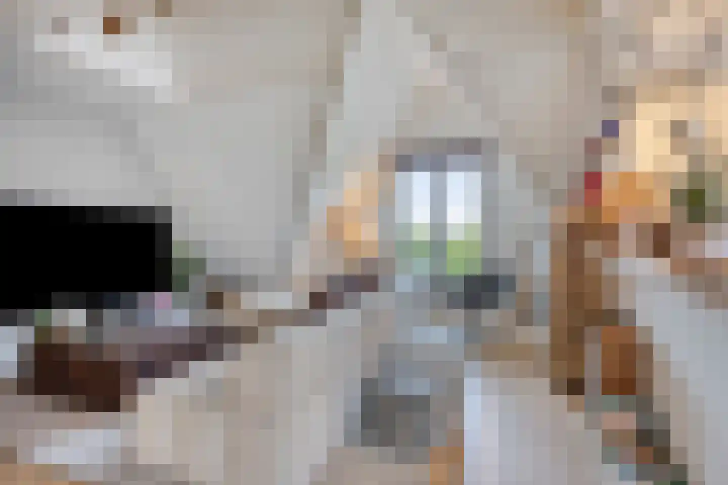 H. Hartplein 14 E Veghel thumbnail 11