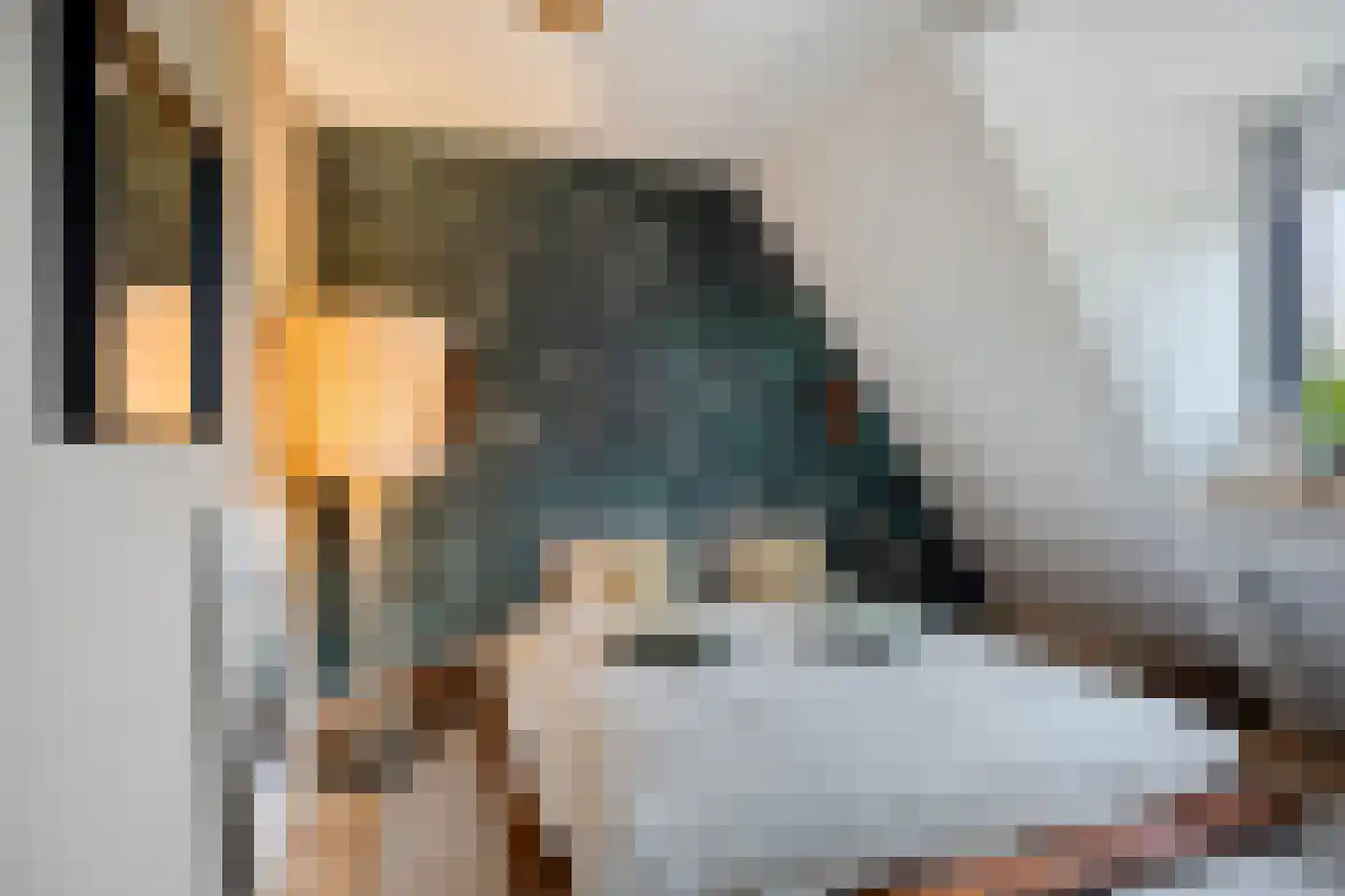 H. Hartplein 14 E Veghel thumbnail 26