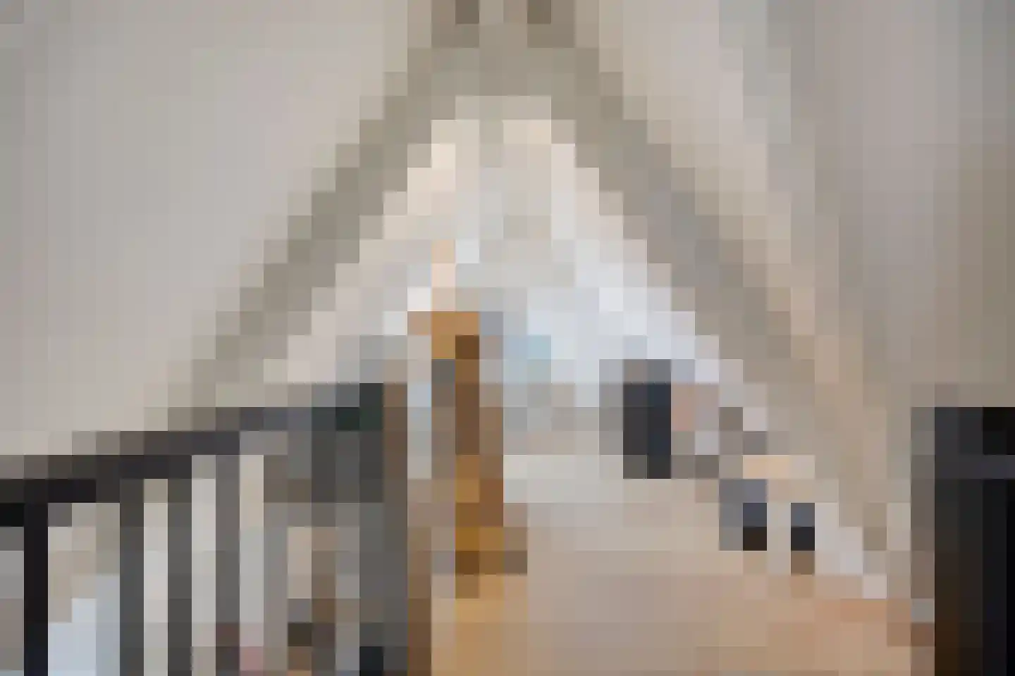 H. Hartplein 14 E Veghel thumbnail 35
