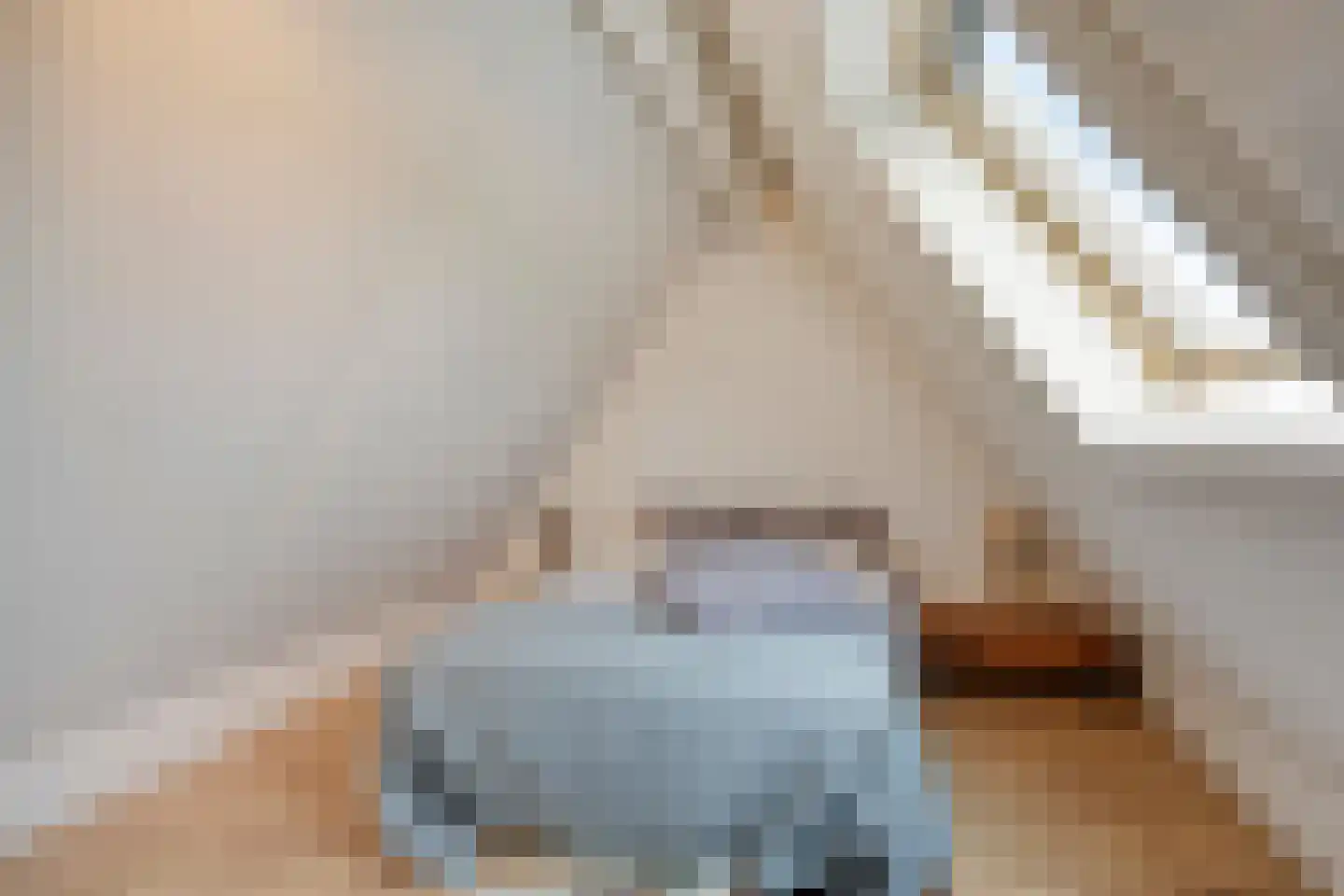 H. Hartplein 14 E Veghel thumbnail 39