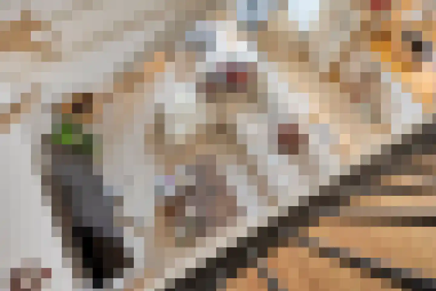 H. Hartplein 14 E Veghel thumbnail 40
