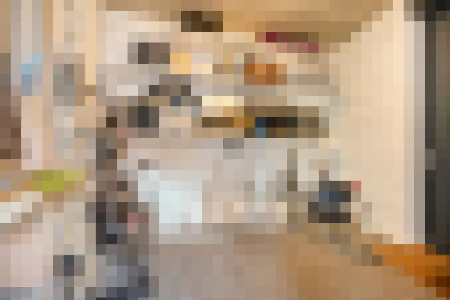 H. Hartplein 14 E Veghel thumbnail 41