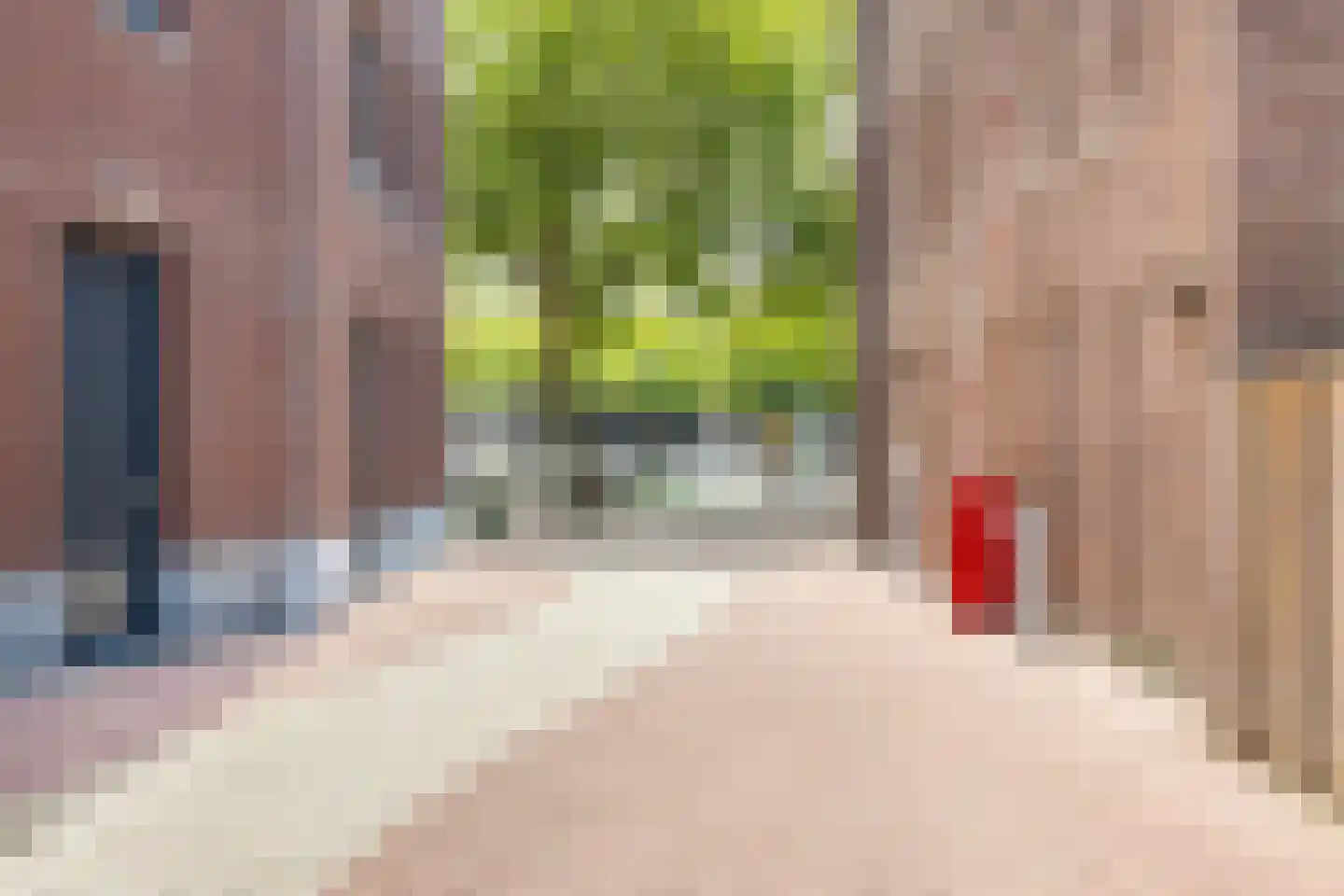 H. Hartplein 14 E Veghel thumbnail 42