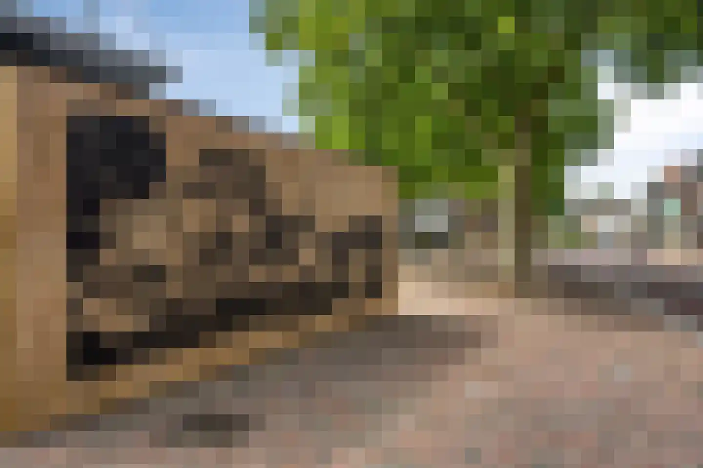 H. Hartplein 14 E Veghel thumbnail 45