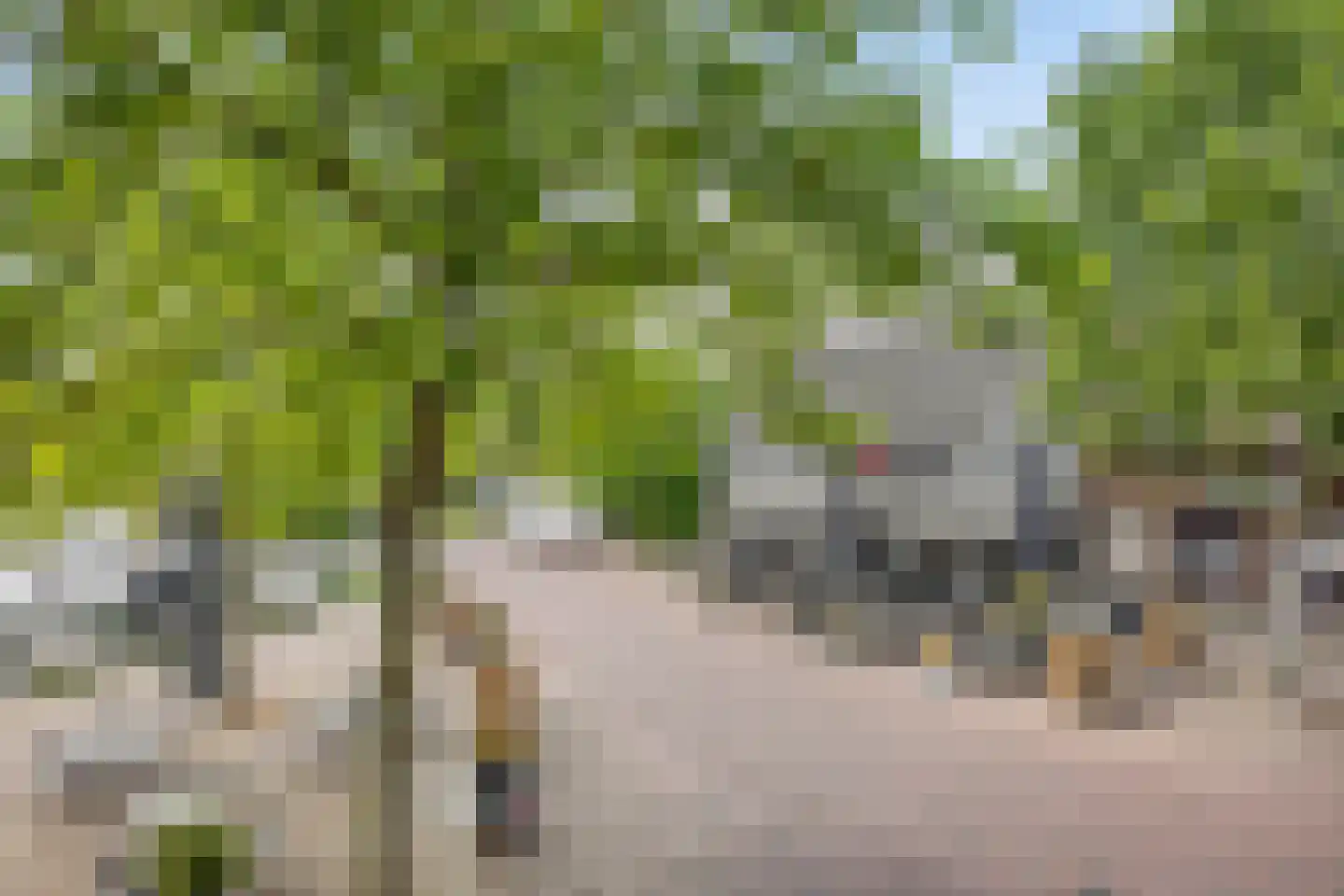 H. Hartplein 14 E Veghel thumbnail 46