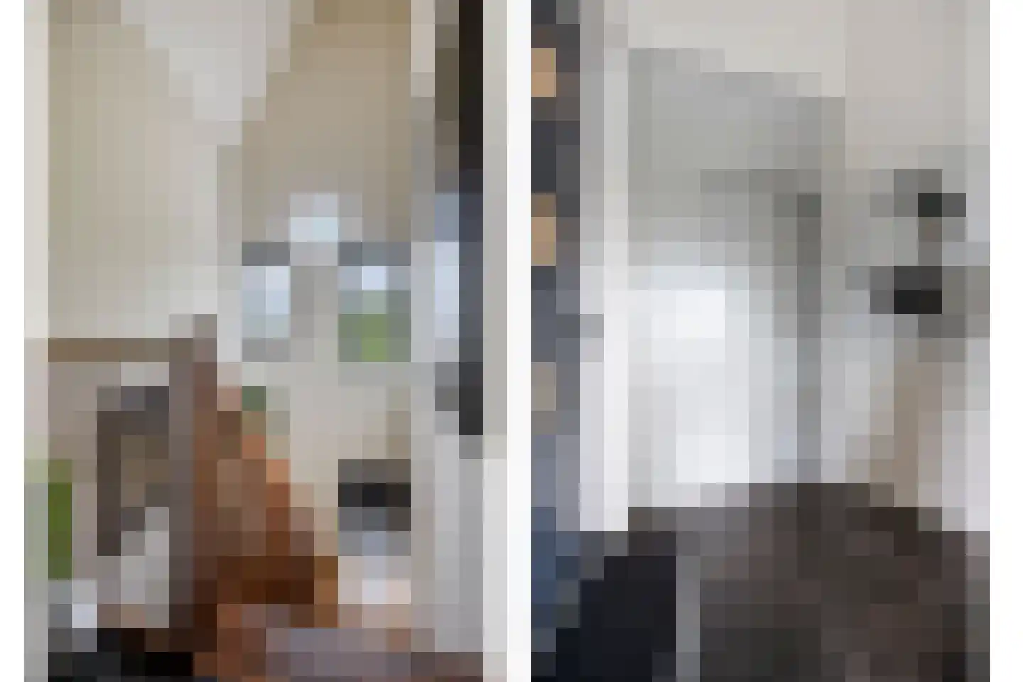 H. Hartplein 14 E Veghel thumbnail 6