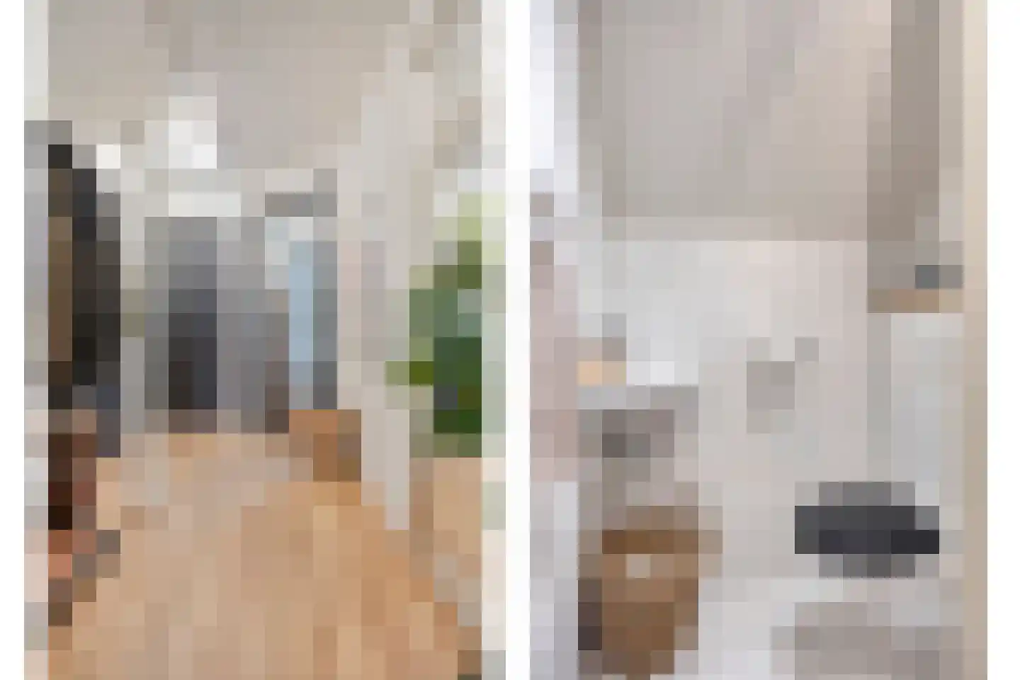 H. Hartplein 14 E Veghel thumbnail 7
