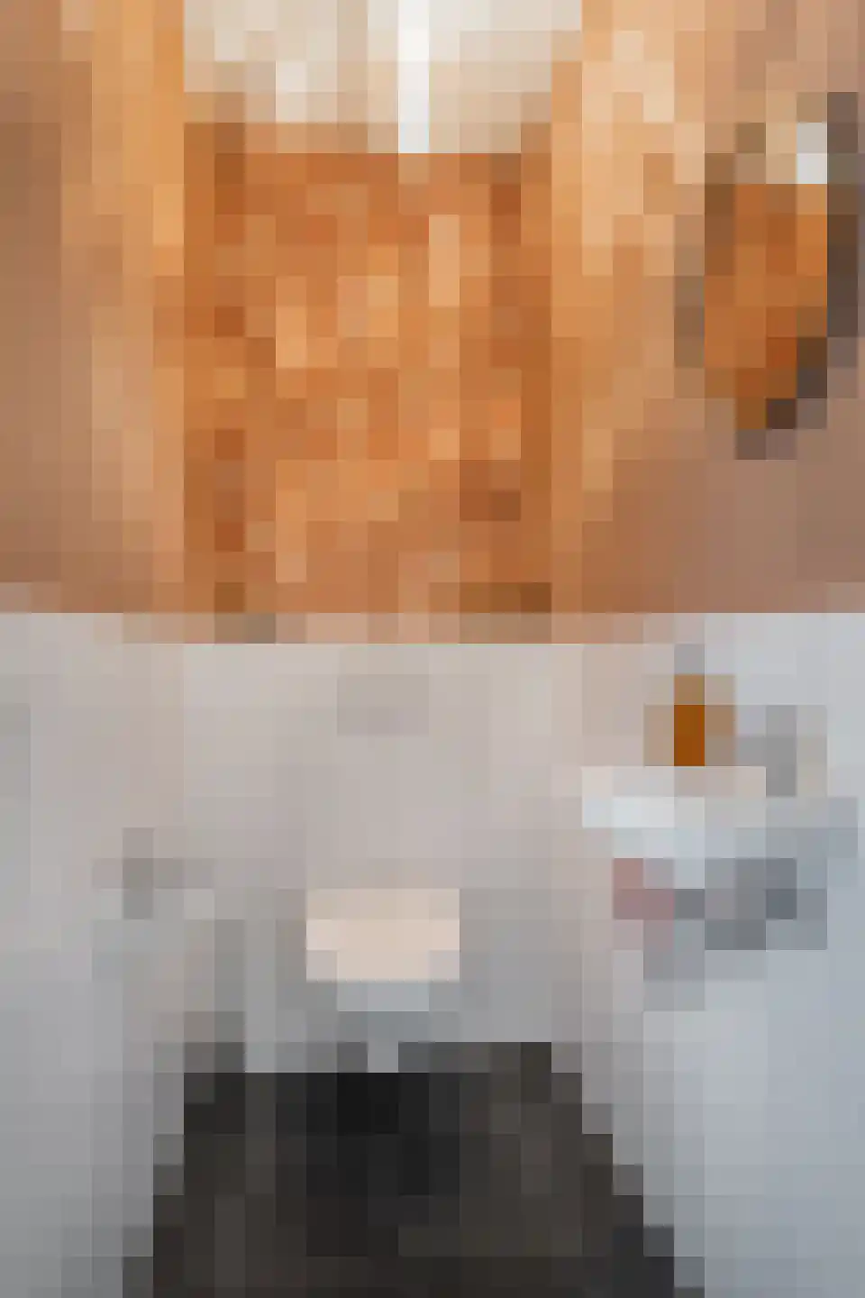 H.Hartplein 22 Den Dungen thumbnail 11