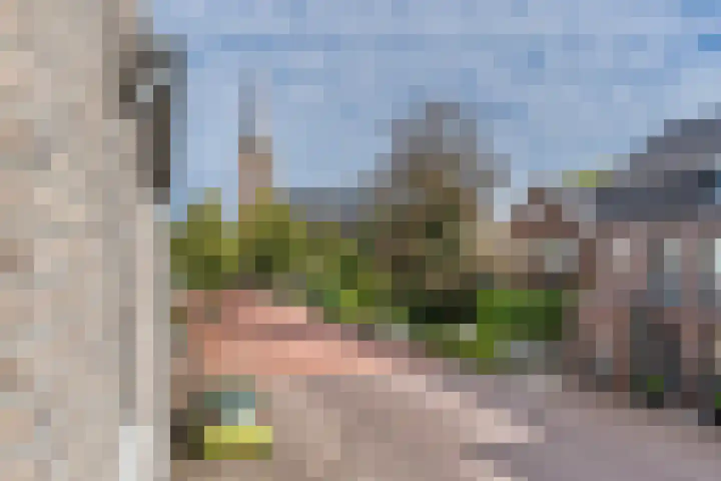 H.Hartplein 22 Den Dungen thumbnail 26