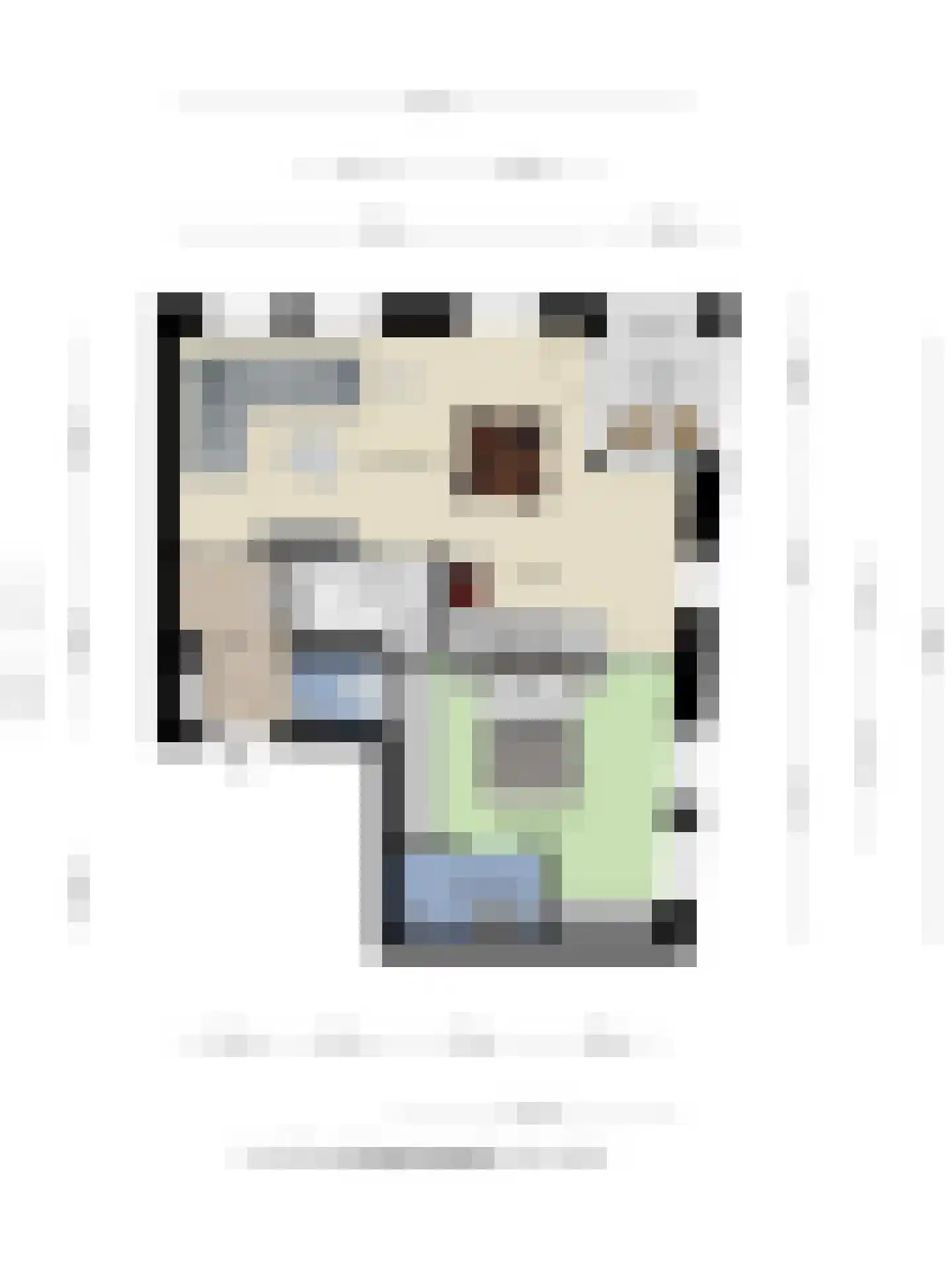 H.Hartplein 22 Den Dungen thumbnail 27