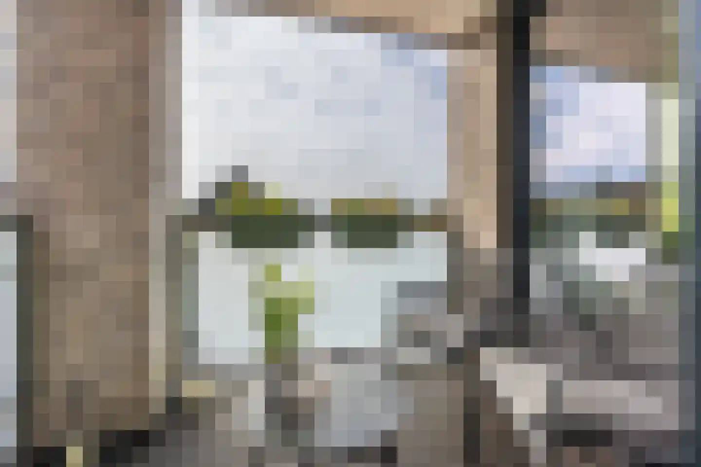 H.Hartplein 22 Den Dungen thumbnail 5