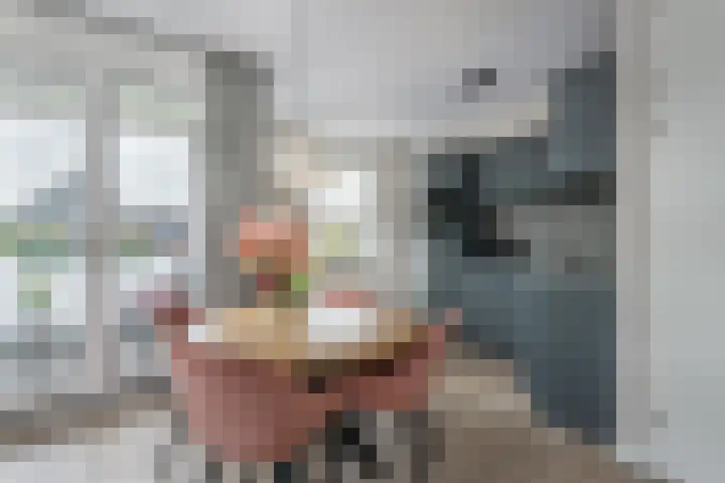 H.Hartplein 22 Den Dungen thumbnail 7