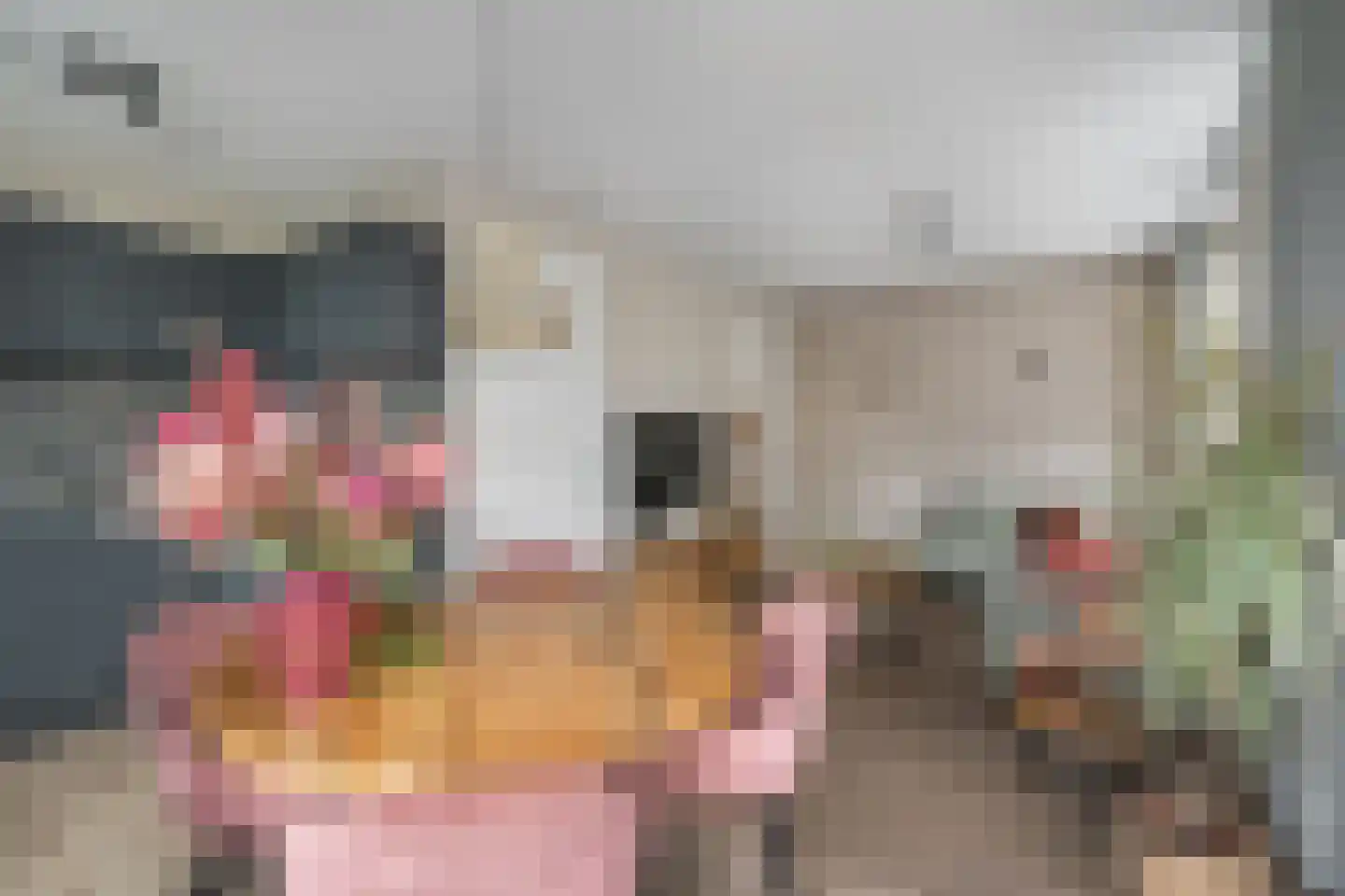 H.Hartplein 22 Den Dungen thumbnail 8