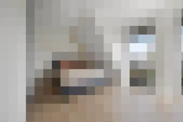 H.Hartplein 36 Den Dungen thumbnail 13