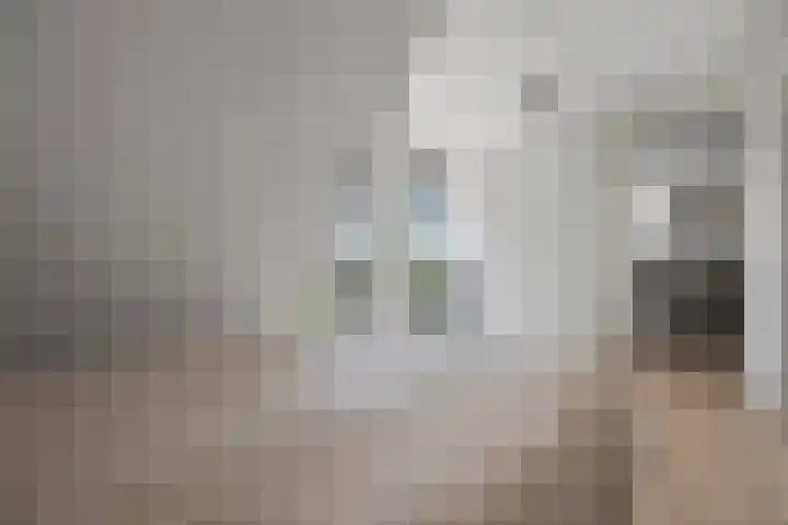 H.Hartplein 36 Den Dungen thumbnail 15