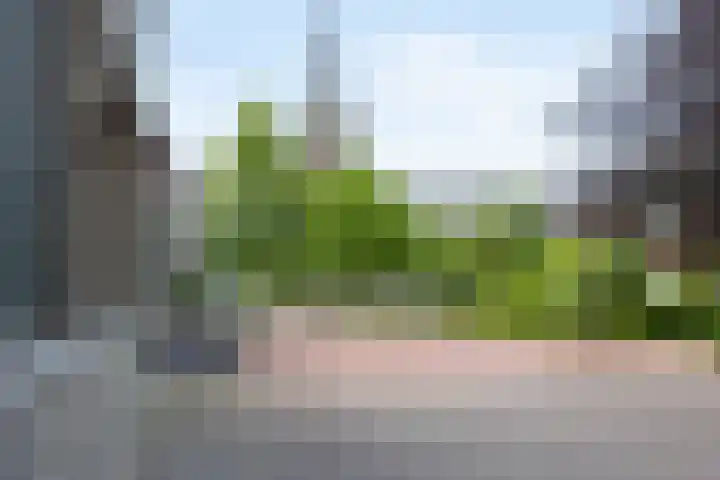 H.Hartplein 36 Den Dungen thumbnail 25