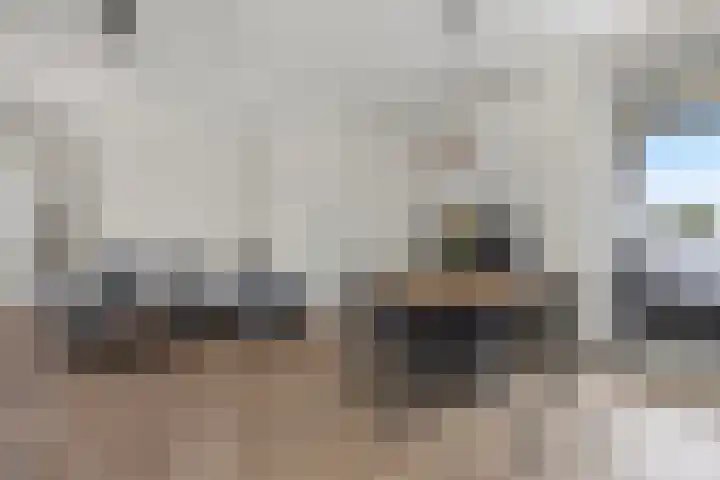 H.Hartplein 36 Den Dungen thumbnail 6