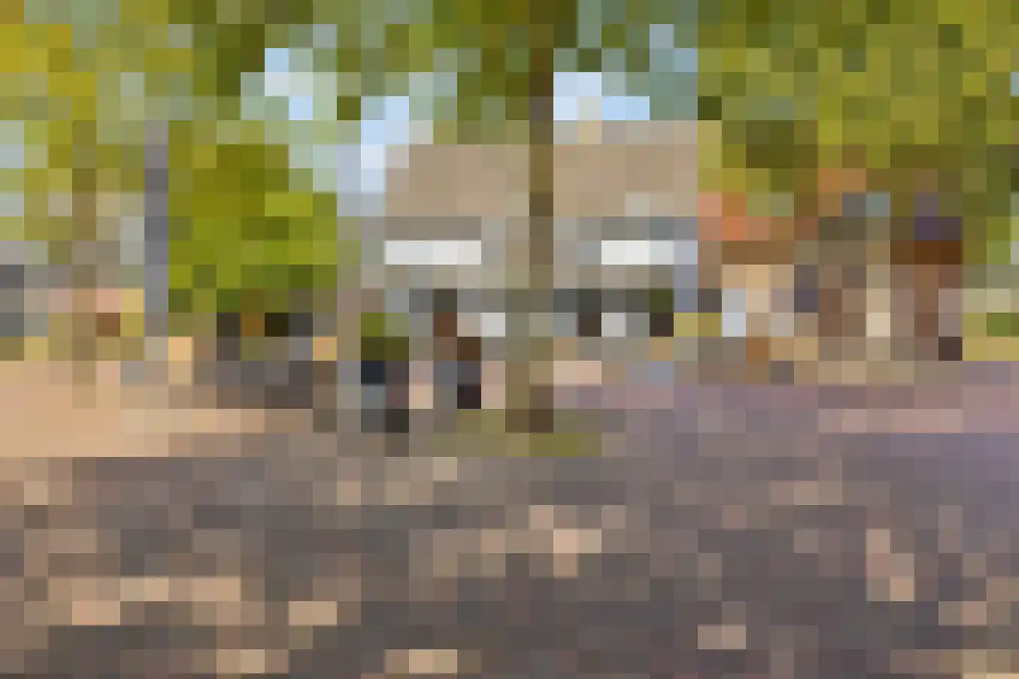 H. Hartplein 41 A Veghel thumbnail 52