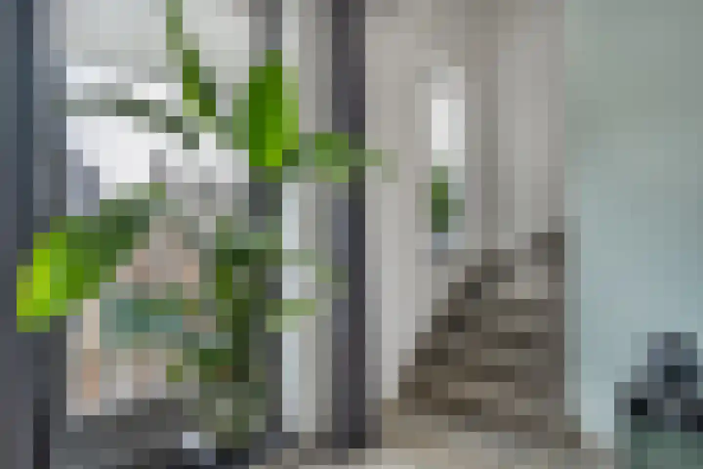 H.Hartplein 9 Den Dungen thumbnail 10