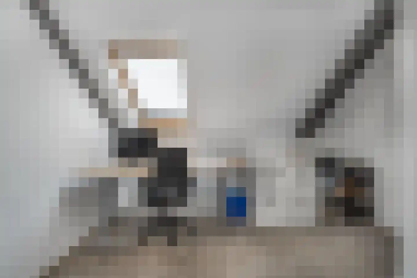 H.Hartplein 9 Den Dungen thumbnail 13