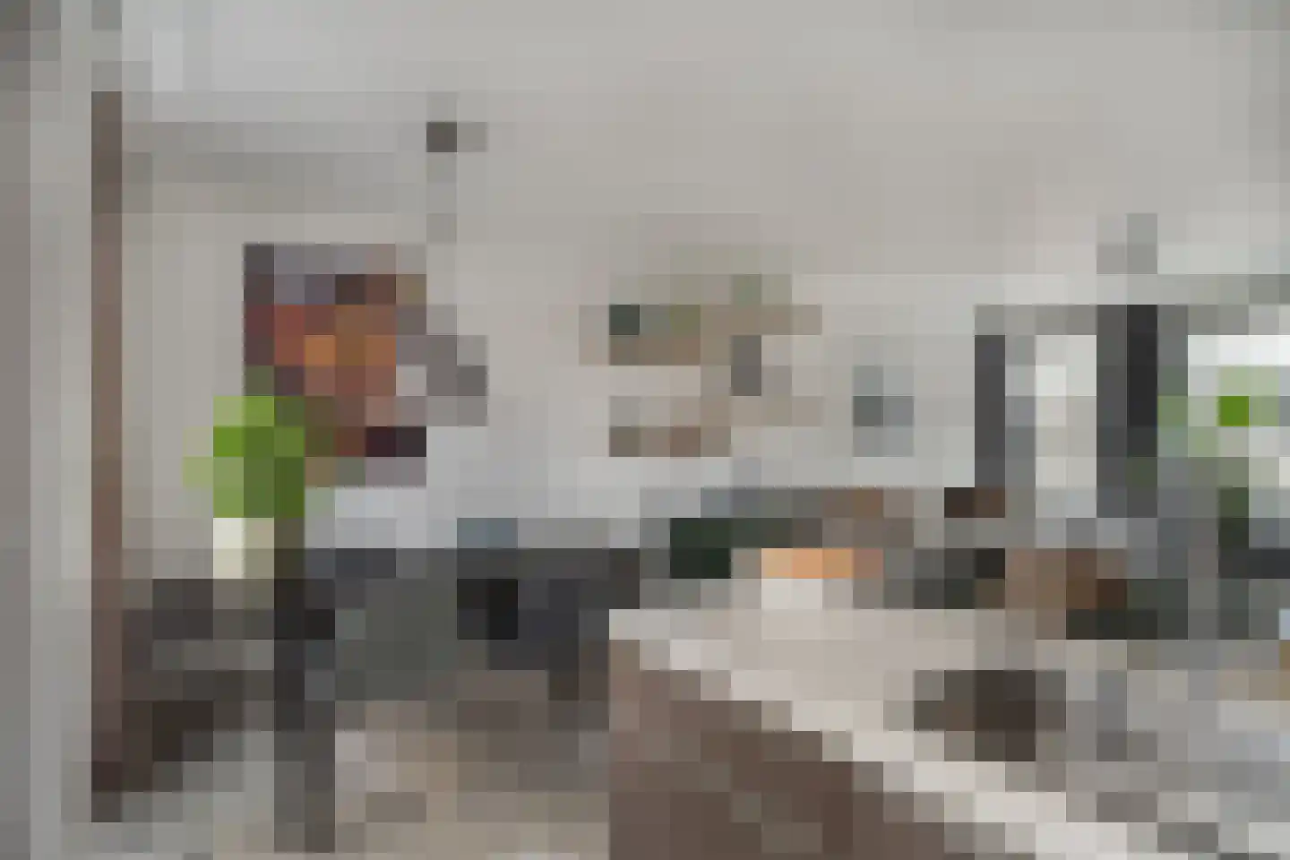 H.Hartplein 9 Den Dungen thumbnail 5