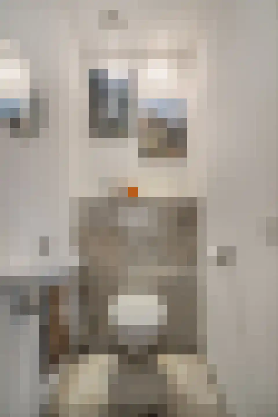 H.Hartplein 9 Den Dungen thumbnail 7