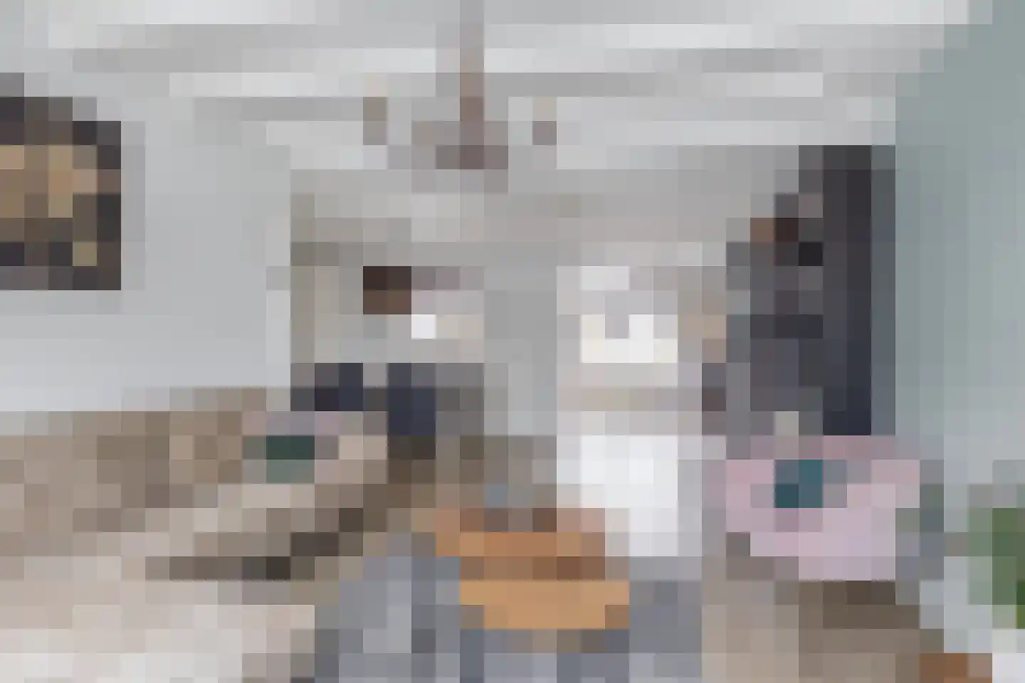 H. Heijermanslaan 10 Waddinxveen thumbnail 11