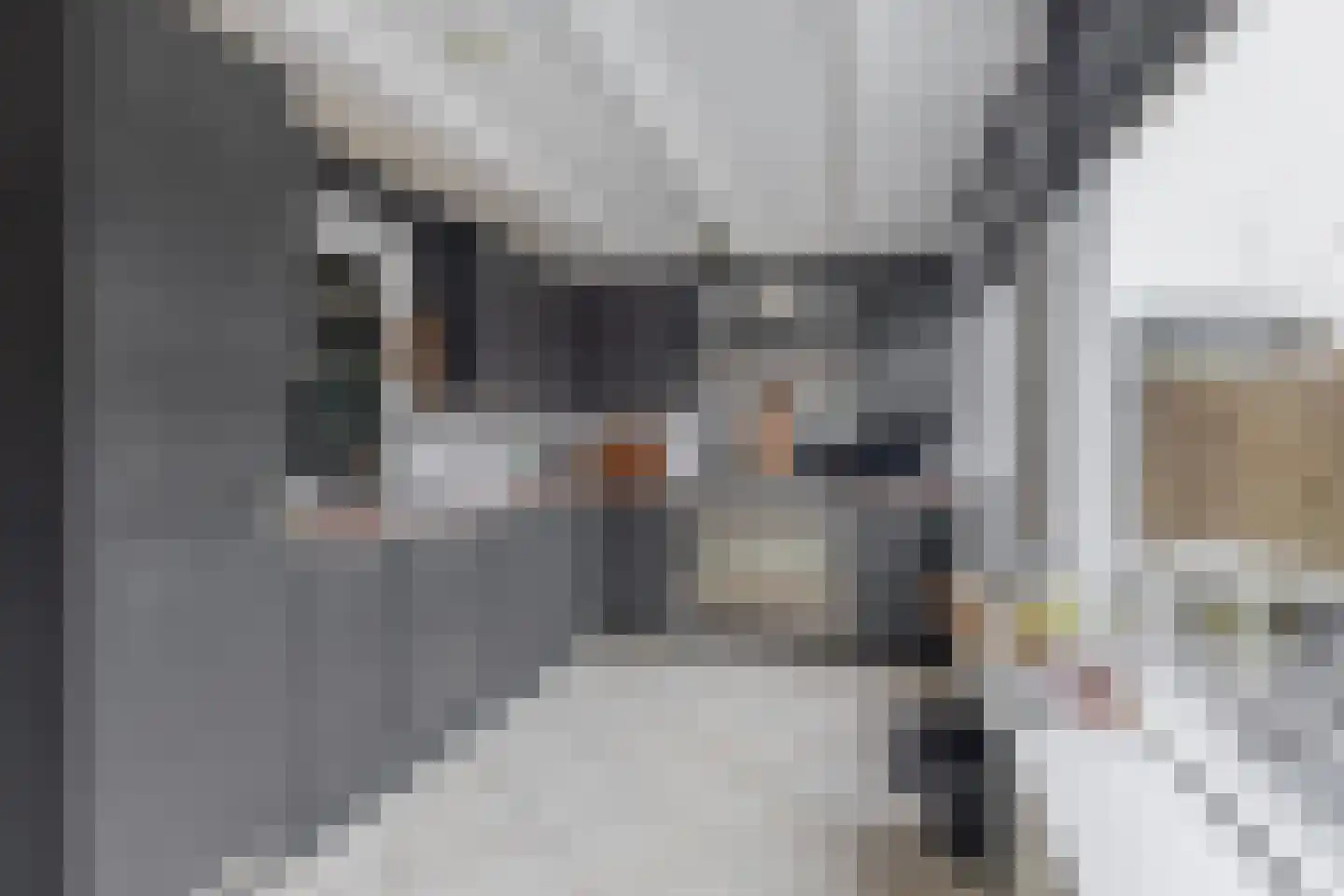H. Heijermanslaan 10 Waddinxveen thumbnail 13