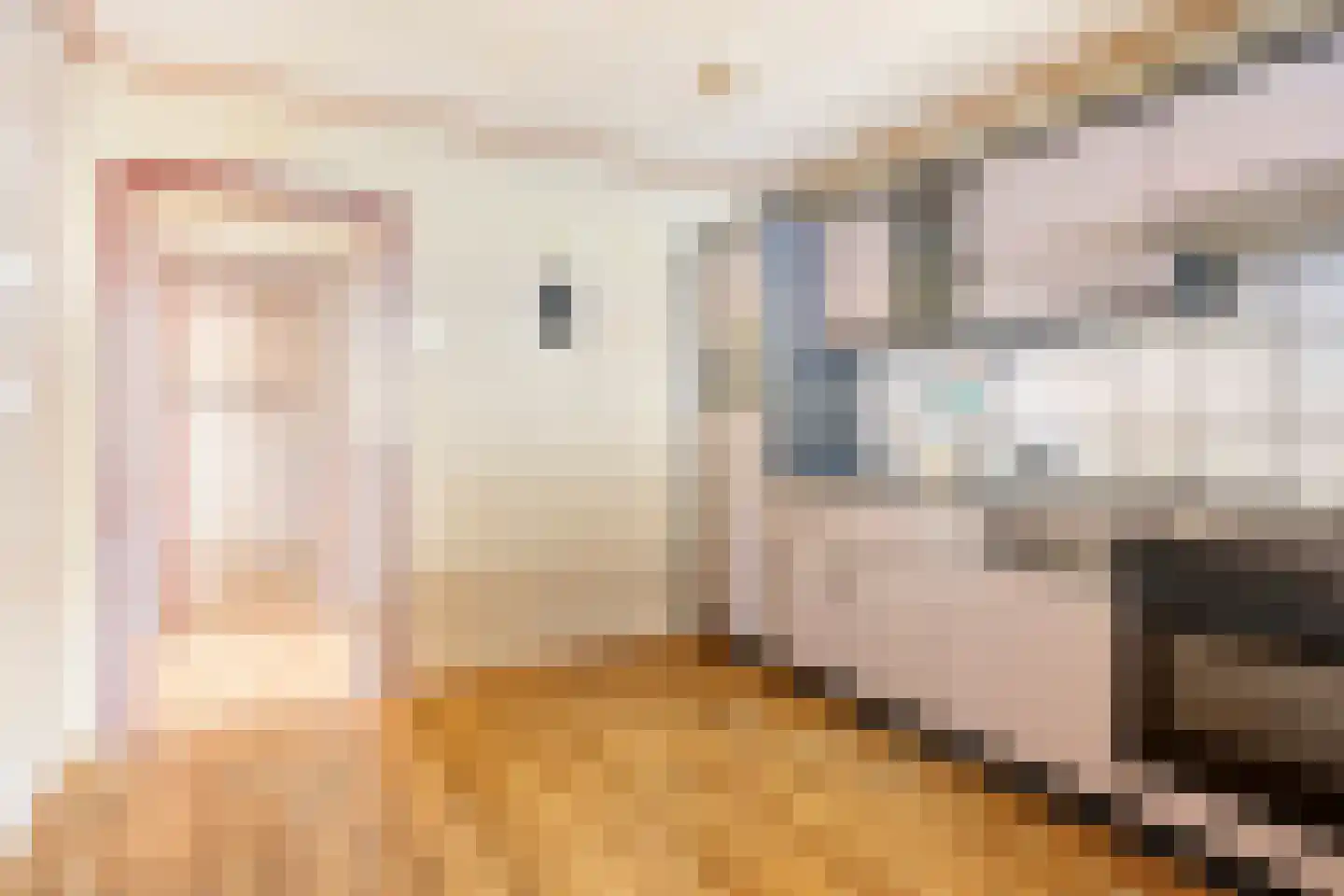 H. Hindersstraat 1 Oude Pekela thumbnail 19