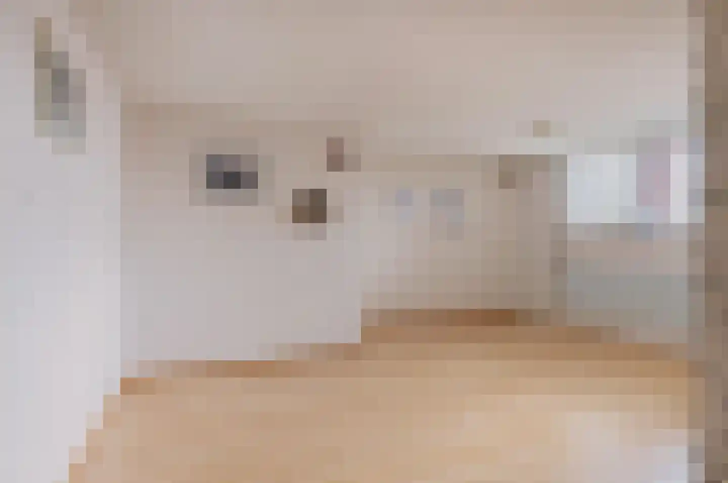 H. Hindersstraat 1 Oude Pekela thumbnail 20