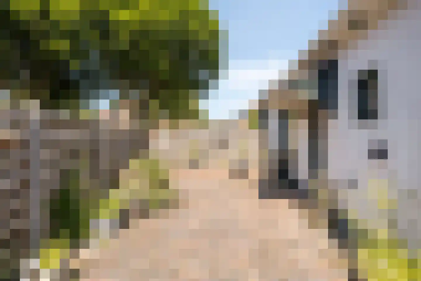 H. Hindersstraat 1 Oude Pekela thumbnail 42