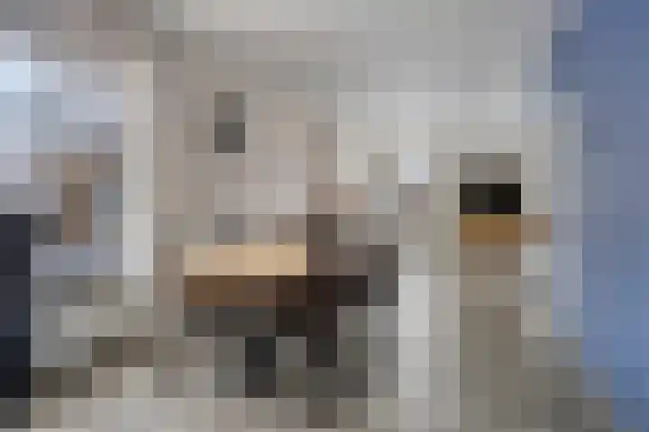 H. Hindersstraat 105 Oude Pekela thumbnail 13