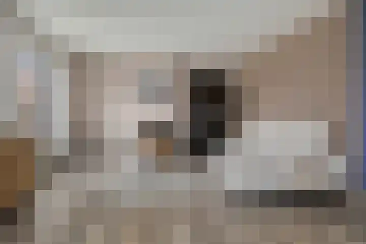 H. Hindersstraat 105 Oude Pekela thumbnail 15