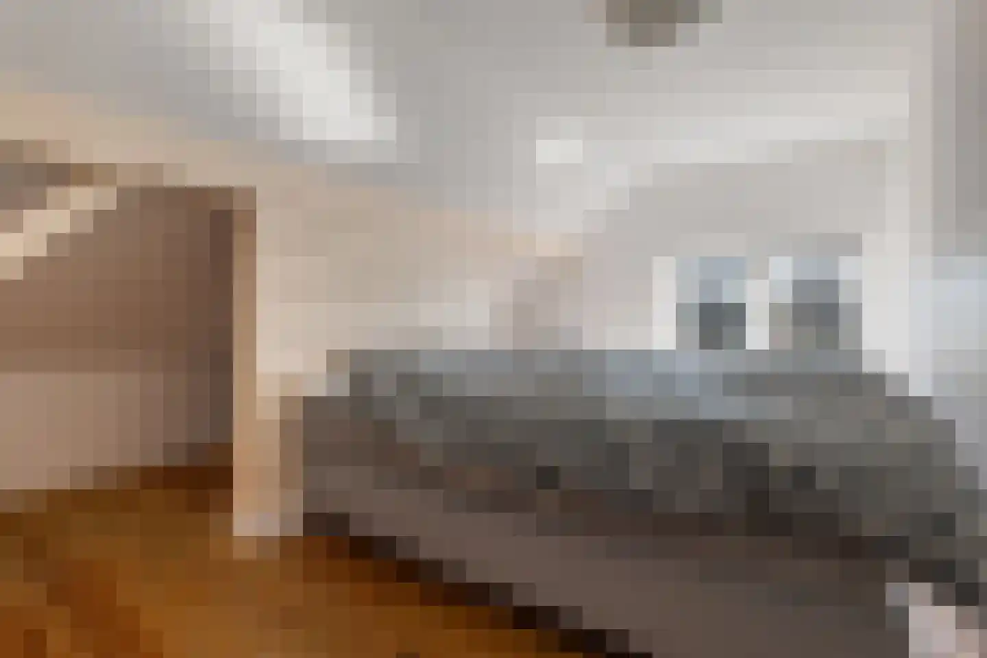 H. Hindersstraat 11 Oude Pekela thumbnail 31