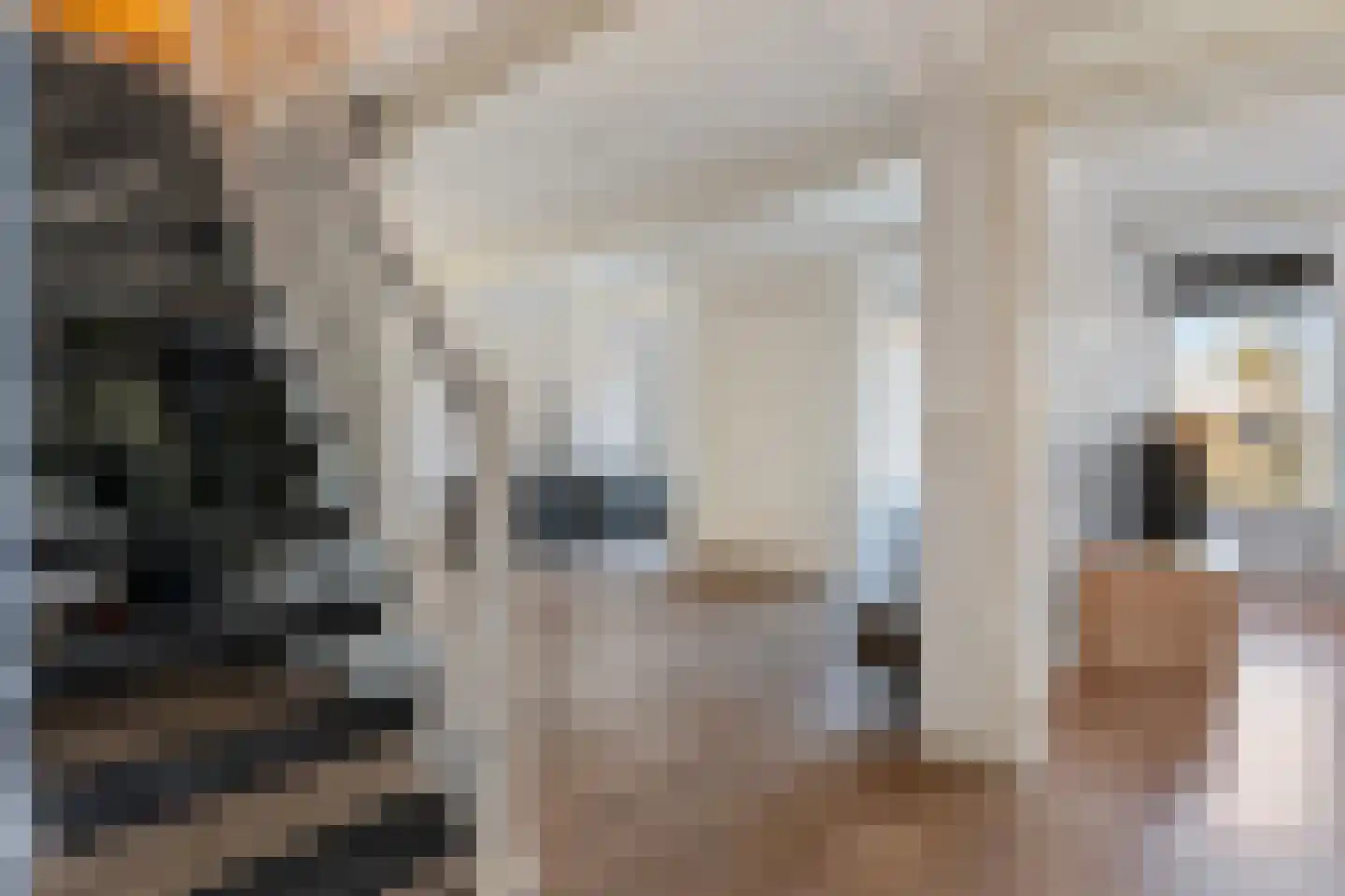 H. Hindersstraat 11 Oude Pekela thumbnail 7