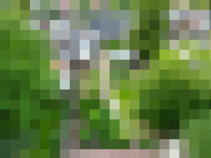 H. Hindersstraat 13 Oude Pekela thumbnail 17